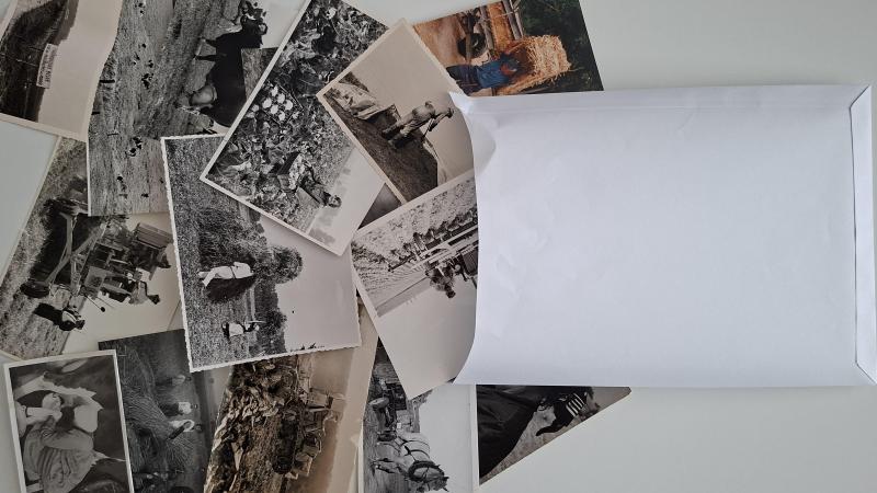 Des photos par centaines... Mais seuls les meilleurs clichés vous seront présentés!