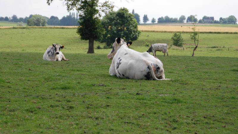 La terre est désormais perçue comme un placement refuge, une ressource écologique stratégique et un outil de pouvoir économique.