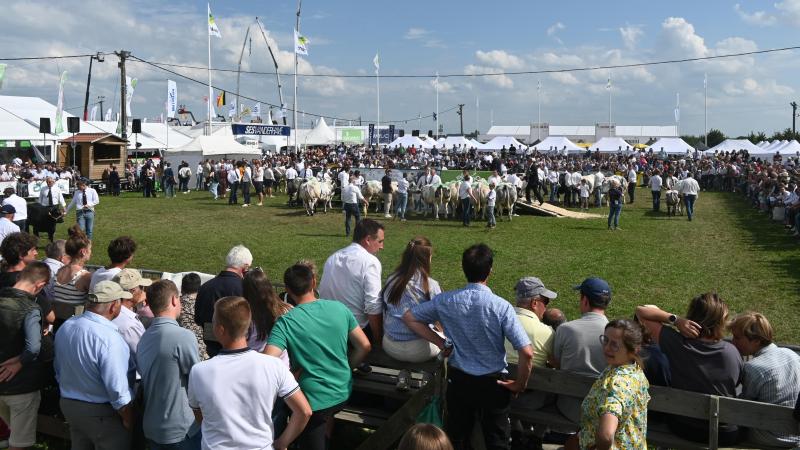 Les organisateurs soulignent l
