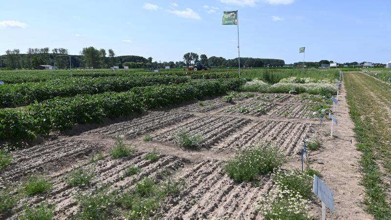 Dans un contexte de suppression de matières actives, le secteur phytopharmaceutique teste différents produits et combinaison de matières actives.
