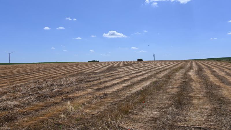 La notion de prépondérance ne sera à examiner que si le preneur, à qui le congé est notifié, est exploitant agricole à titre principal. Dans ce cas, l’activité agricole du bénéficiaire du congé devra, elle aussi, présenter un caractère prépondérant par rapport à toute autre activité professionnelle éventuelle.