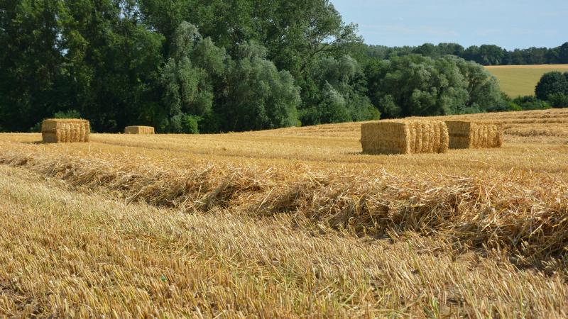 Vegaplan s’est attelé à analyser les données fournies par plus de 3.500 participants au Moniteur de durabilité afin d’évaluer les pratiques du même nom dans le domaine de la production primaire végétale.