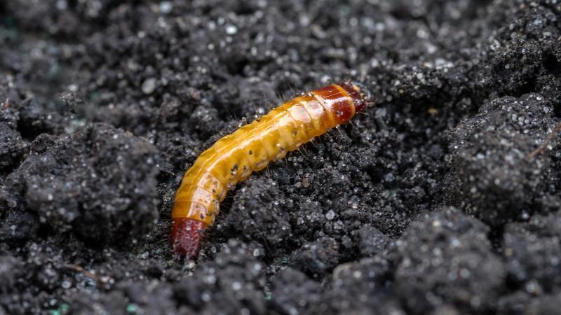 AdobeStock_280587088