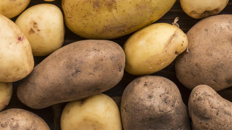 En dressant ces montagnes de pommes de terre, Waste Warriors espère sauver jusqu