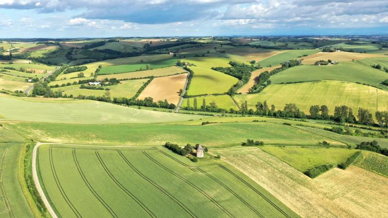 En 2024, selon les données des Safer, le marché du foncier agricole  marque un net repli en France.