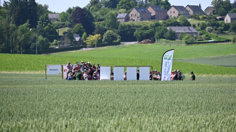 Julien Floriau, technicien Tmce, souligne que la diminution de l’utilisation des fongicides peut être un levier pour réduire la pression des maladies cryptogamiques.