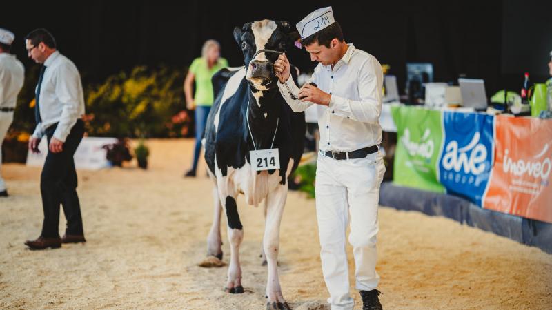 Parmi les rendez-vous phares de la foire figure la 23ᵉ édition de l’École des Jeunes Éleveurs (YBS), présentée comme « la meilleure formation au monde pour la préparation d’animaux aux concours ».