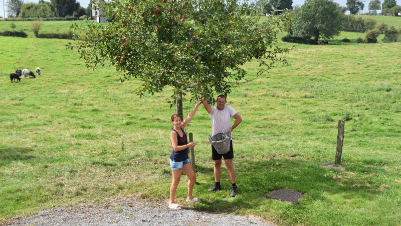 Le sirop Charlier est un produit 100 % naturel : uniquement des pommes et  des poires locales cueillies à la main, sans aucun ajout, ni sucre, ni gélatine,  ni pectine, ni autres fruits.