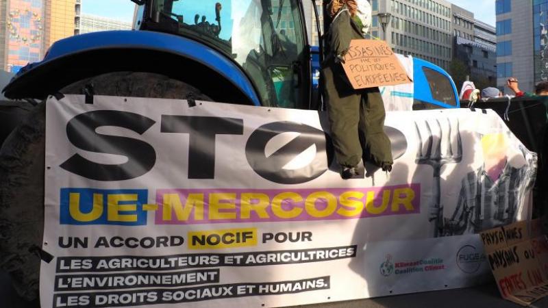 Une cinquantaine d