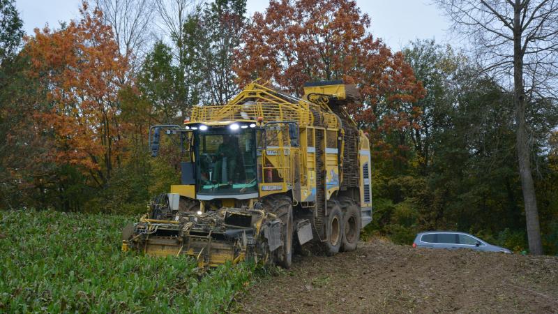 La Cbb s’attend à une campagne avec de bons rendements, des taux de sucre élevés et une excellente qualité.