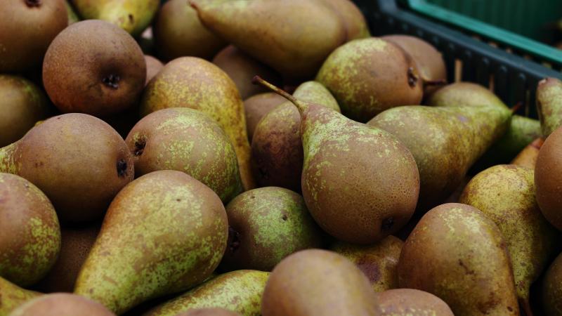fruit-4479075