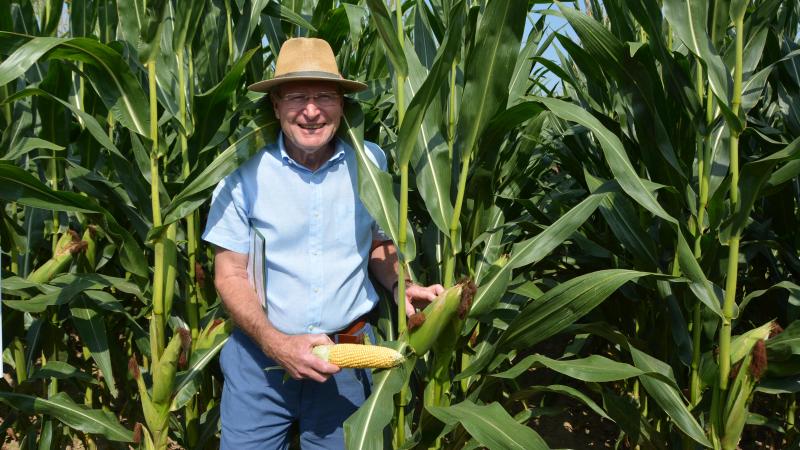 Pour les semis 2026, Pierre Claerhout intègre la variété Cabestro à son catalogue,  avec un rendement en grains de 14.504 kg/ha à 15 % d’humidité  dans le réseau probatoire du Cipf, en 2024.