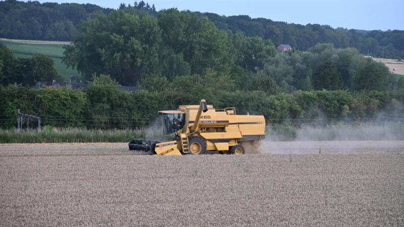 Selon la longueur de leur cycle de développement et les conditions climatiques rencontrées annuellement, les potentiels de rendement s’exprimeront différemment selon la date de semis.