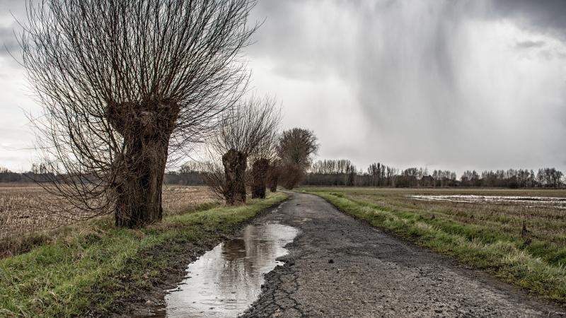 La demande doit être introduite au plus tard le 10 octobre, accompagnée des procès-verbaux de constat et, le cas échéant, d’une copie du contrat d’assurance climatique.