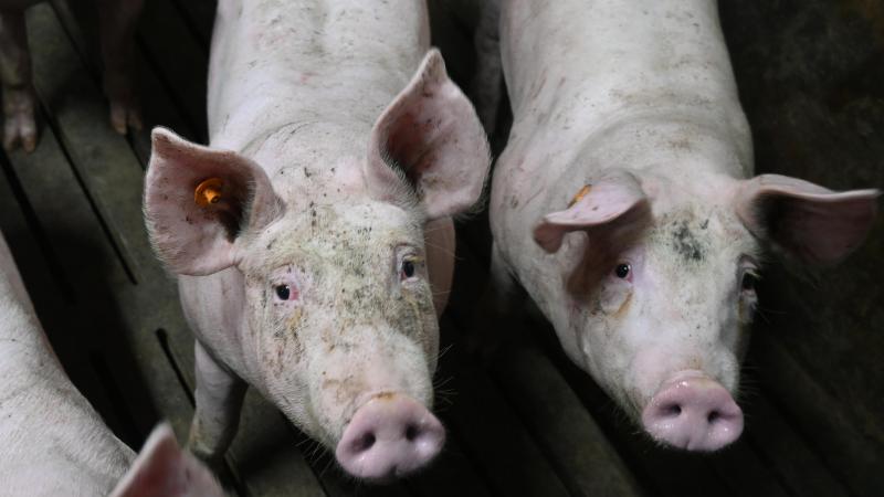 Le recours aux engrais RENURE est toutefois soumis à certaines condition, comme un maximum 80kg d