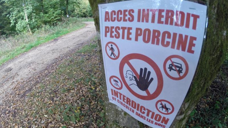 En 2018, la peste porcine africaine a été détectée dans le sud de notre pays.