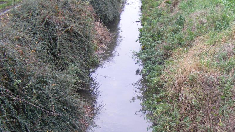 Les fossés de drainage de nos propres parcelles sont des sources d