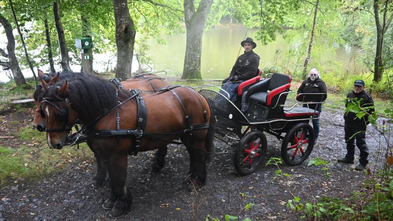 Claudy Lepère, vétérinaire et président  de l’Asbl, Laurent Georges, meneur,  et Emmanuel Girs, groom, avec Akira et Jaco ont représenté la race lors de la Route des chevaux de trait en Suisse Normande.