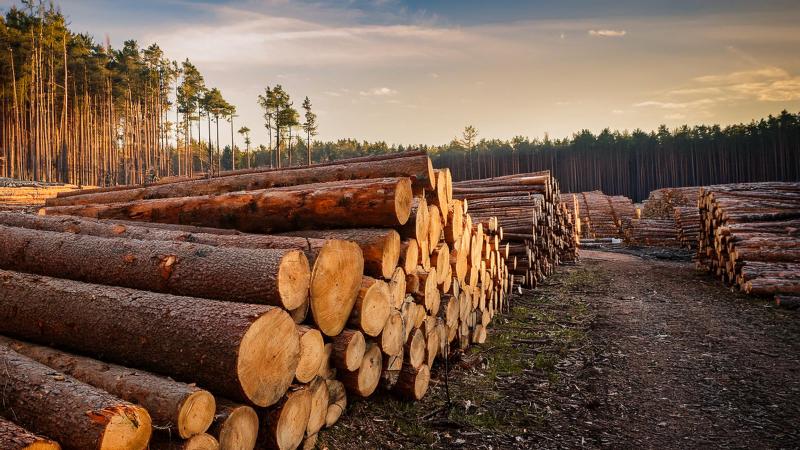 Le géant de l'agroalimentaire Mondelez avait déjà demandé  un nouveau report, pointant  les difficultés  du secteur  du cacao.