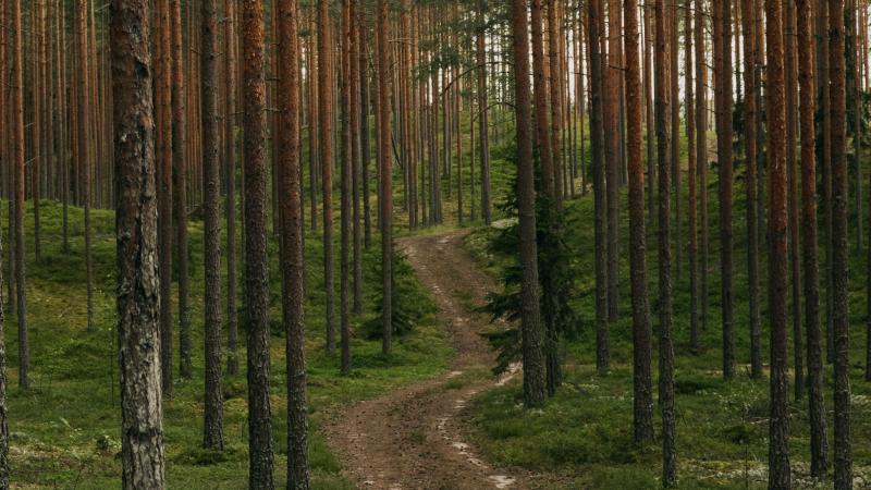 Pour Yvan Verougstraete, « la simplification,  c’est réduire la charge bureaucratique  sans affaiblir l’objectif politique ».