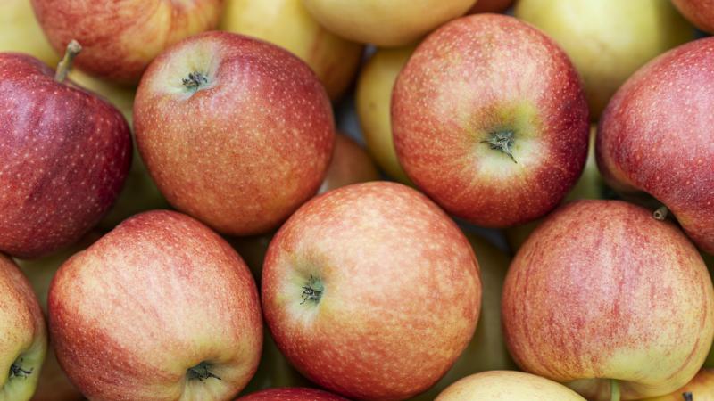 Pour protéger les fruits et légumes contre les maladies fongiques.