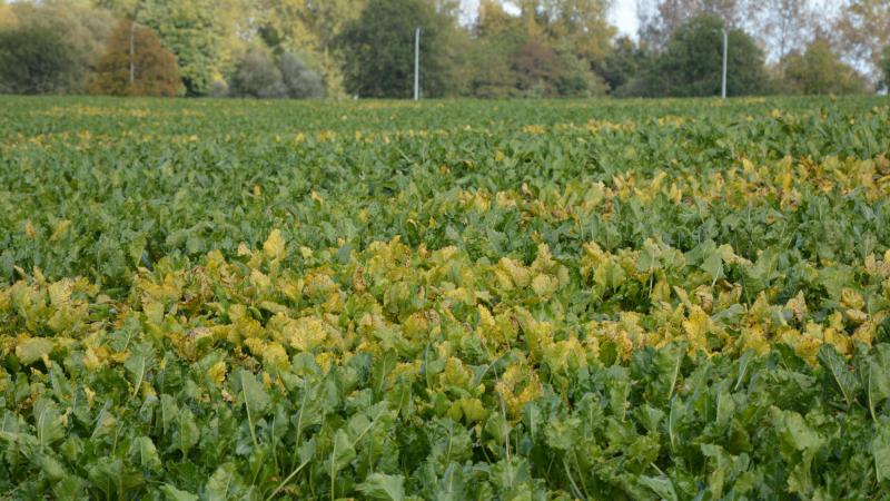Pour les scientifiques, les agriculteurs ne peuvent  pas être les seuls à supporter le surcoût et  le risque associés aux alternatives.