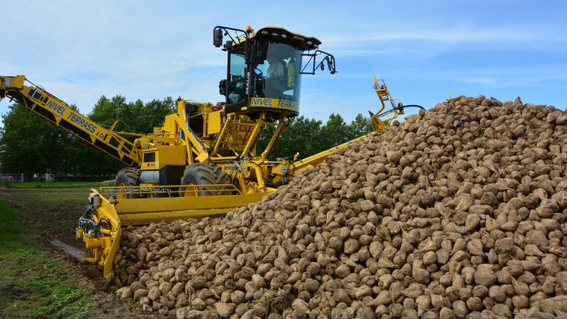 En chutant de 5,3 % en un mois, le prix du sucre atteint son niveau le plus bas depuis décembre 2020.