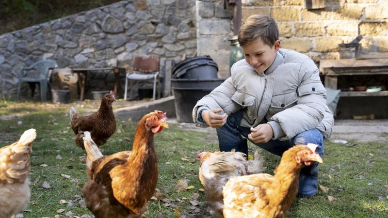 kid-plein-coup-nourrir-les-oiseaux