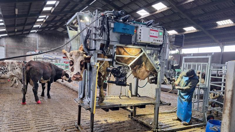 Lors d’une enquête dans le Hainaut, près de 60 % des éleveurs sondés ont indiqué avoir déjà été confrontés à la maladie.