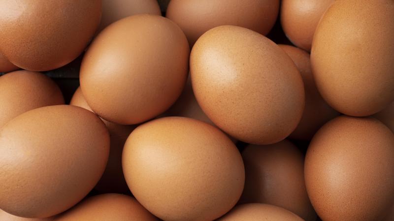 La cause de ce prix record se trouve au niveau d’une offre insuffisante par rapport à la demande.