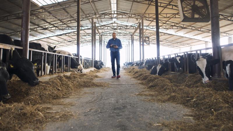 Des bilans carbone et un accompagnement personnalisé avec la mise en oeuvre de nouvelles pratiques seront proposés au 35 exploitations pilotes.