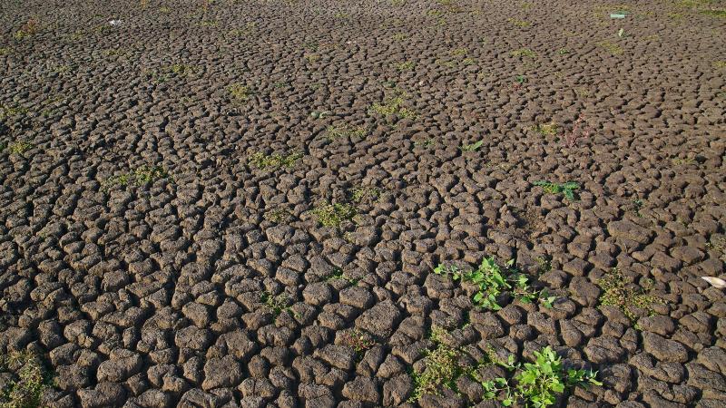 Sur le plan nutritionnel, les volumes perdus correspondent globalement à 320 kilocalories par personne et par jour, l’équivalent de 13-16% des besoins quotidiens.