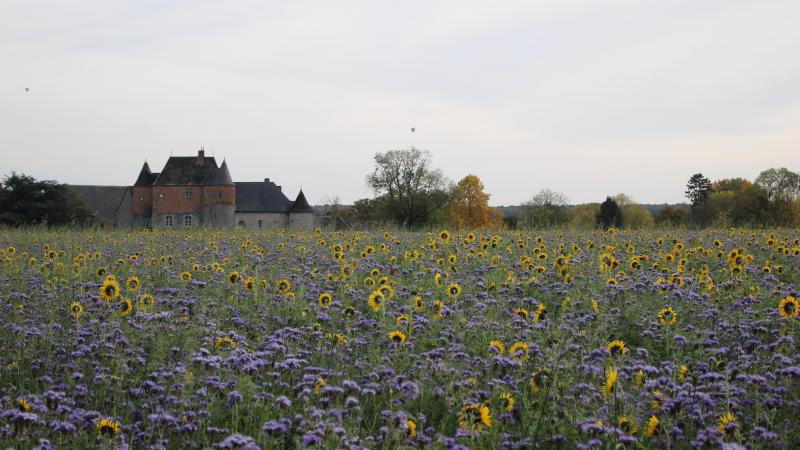 La loi de préciser que l’autorisation de la sous-location, à peine de nullité, donc à peine d’inexistence, doit être donnée par écrit et préalablement à la prise de cours de la sous-location.