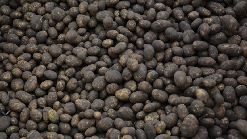 Le complément apporté concerne notamment  la réglementation relative à la négociation à distance.