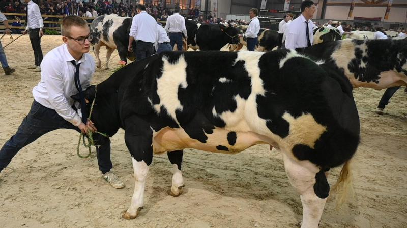 Même s’il est difficile d’estimer la baisse de fréquentation, cette absence aura certainement un impact sur l’ambiance de l’événement.