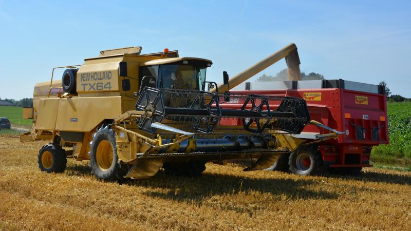 La production mondiale de céréales devrait s’établir à 2.430 mt pour  la campagne 2025/2026.