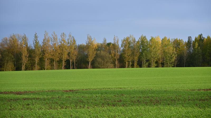 L’important à retenir est que la cession privilégiée conduit à un renouvellement du bail. Les compteurs sont remis à zéro, sans continuité du bail comme en matière de cession simple ou ordinaire.