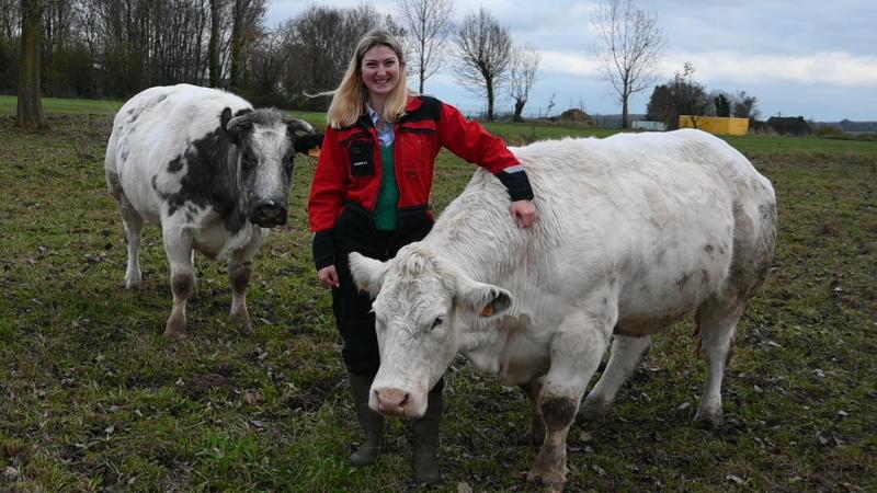 Léonie avec Lucide, la mère d’Officier des Princes de Ligne. Il s’agit d’une des premières vaches nées sans corne au sein de la ferme.