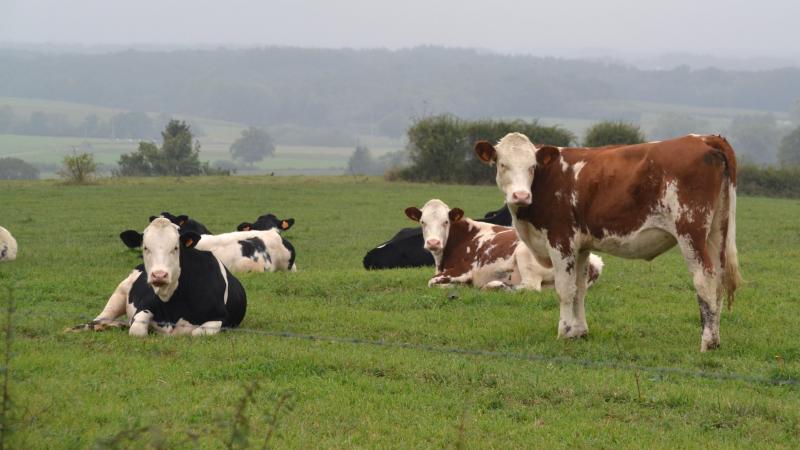 Les exploitations comptant au moins  un agriculteur de moins de 41 ans  concentrent près de 75 % des surfaces acquises par les agriculteurs.