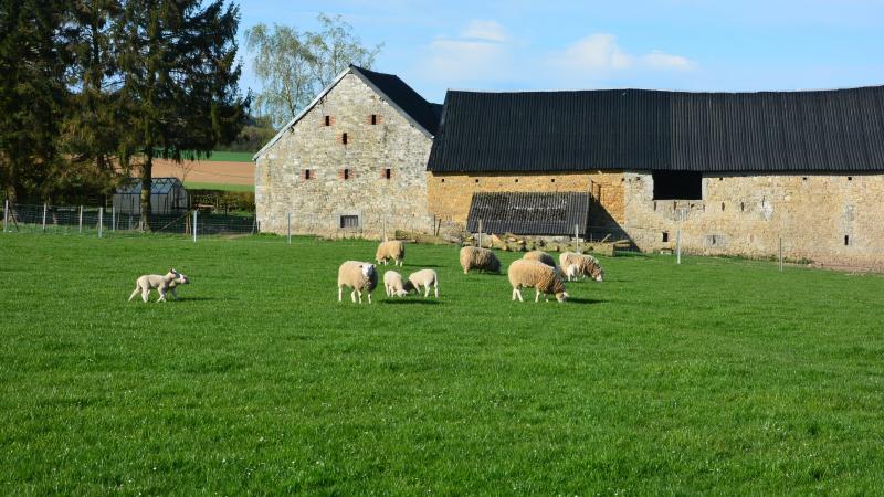 Pour NTF, le véritable déséquilibre  se situe dans l’écart structurel entre propriété et exploitation.
