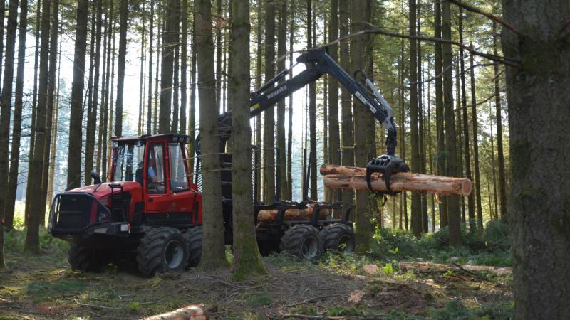 Les prix des épicés sains poursuivent leur hausse, déjà observée au printemps dernier.