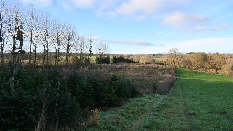 Parmi les six motifs d’opposition à la cession privilégiée, deux concernent la notification d’un congé.