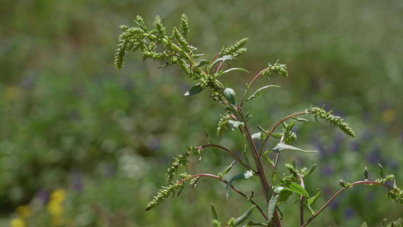 AdobeStock_1661281243