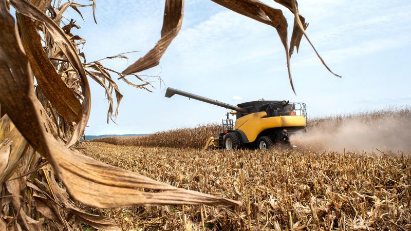 Si le rendement demeure un critère essentiel, il ne doit pas être le seul à guider le choix variétal.