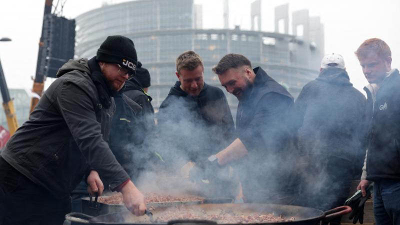 Des agriculteurs ont fait le déplacement jusqu’aux portes du parlement européen de Strasbourg pour faire pression sur les eurodéputés. Ils ont été entendus ce 21 janvier.