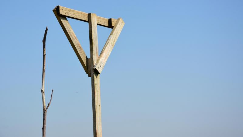 Le perchoir doit mesurer 3 à 5 cm de large  et 20 cm de long.