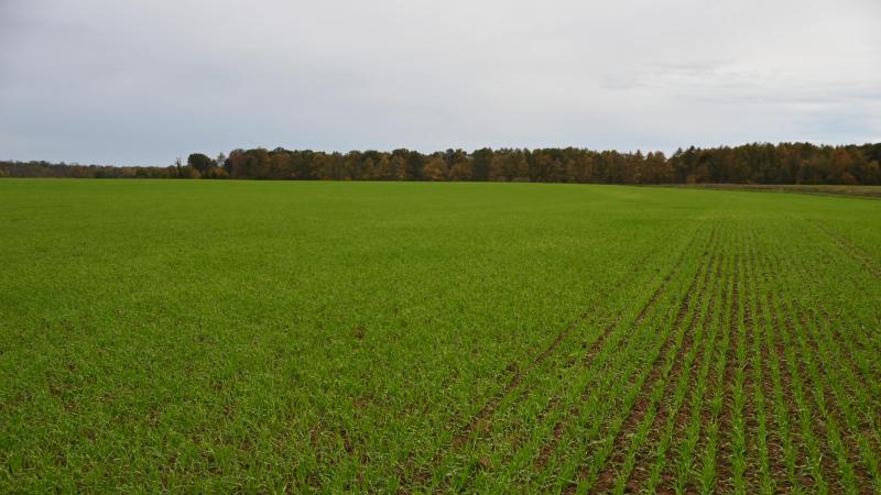 Le bail de carrière se prolongera, depuis sa prise de cours, jusqu’à l’atteinte, par le preneur, de l’âge légal de la pension. Dans le cas de plusieurs preneurs, la durée du bail est calculée sur base de l’âge du copreneur le moins âgé.