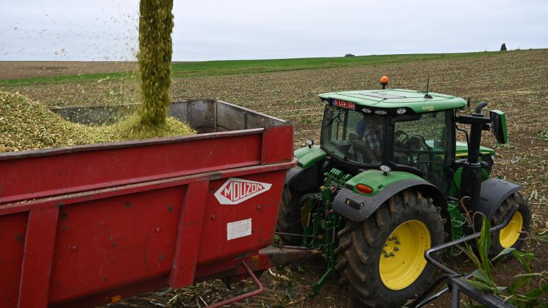 On ne sèmera plusieurs variétés sur une même parcelle que si leur précocité est fort proche. Dans le cas contraire, la conservation de l’ensilage sera compromise.