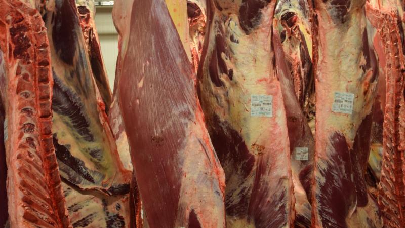 Au cours des onze premiers mois  de 2025, la production de viande bovine  a diminué de plus de 10 % par rapport  à la même période en 2024.