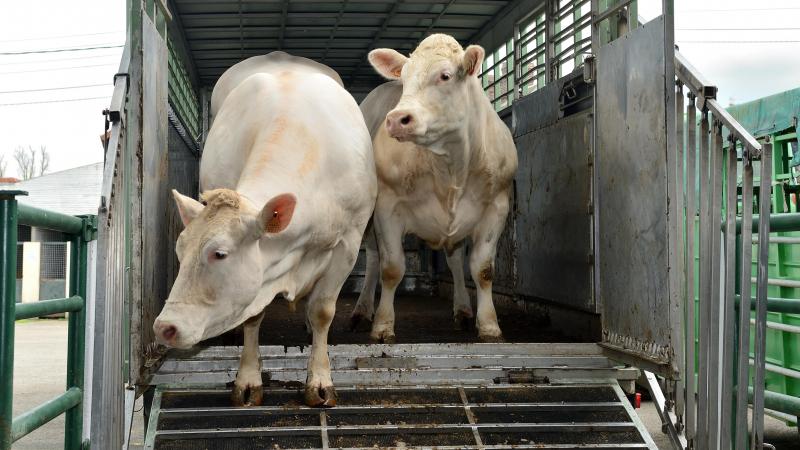 L’Agence examinera notamment si les mesures de nettoyage et de désinfection dans les transports ont bien été respectées.